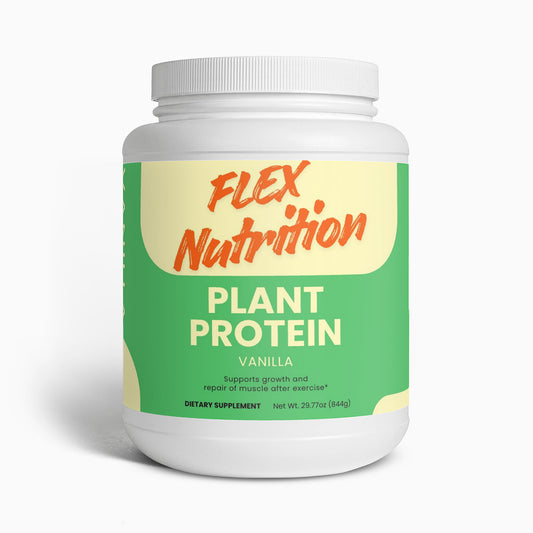Plant Protein (Vanilla)